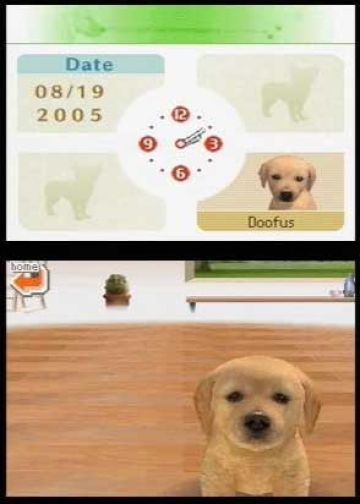 Immagine -14 del gioco Nintendogs: Labrador and Friends per Nintendo DS